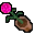 potted flower
