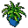 potted fern in a blue pot