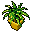 potted fern in a gilded pot