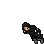 Xenek