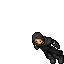 Suszarix