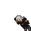 Skunks