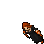 Hemoroida Granger