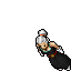 Ilanet