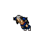 Nowik Shadow